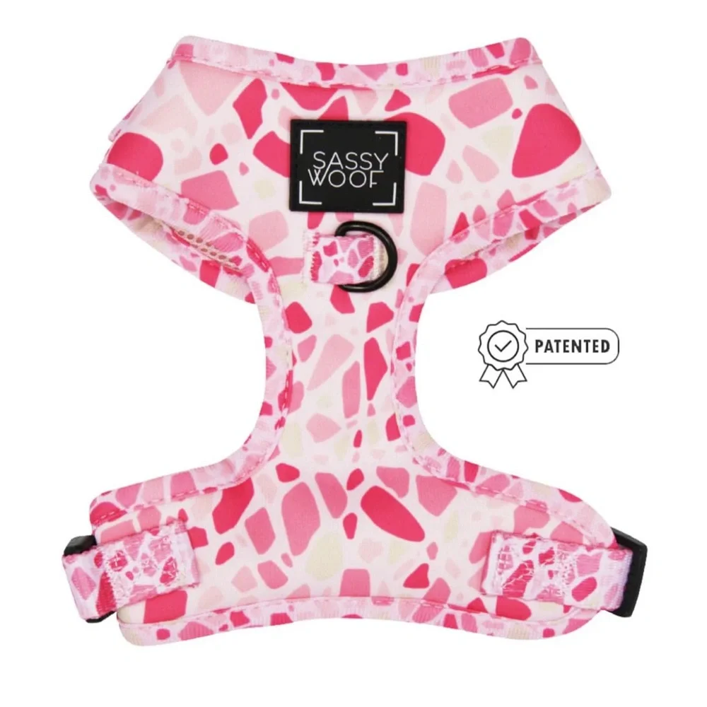 Sassy Woof Pink Terrazzo Adjustable Dog Harness & Leash Set